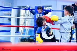 吃瓜娱乐是拳击还是相亲